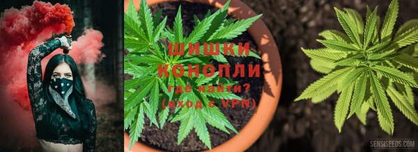 ECSTASY Вяземский