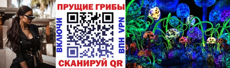 Псилоцибиновые грибы Cubensis  Купить где  Новоалександровск 