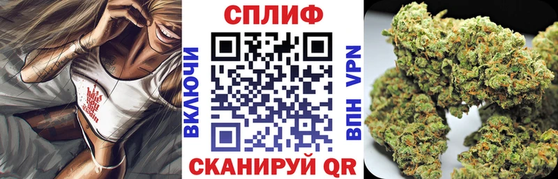 Купить где  Новоалександровск  Каннабис MAZAR 